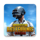 pubg国际服亚服官网版